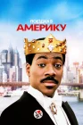  Поездка в Америку смотреть онлайн (1988) 