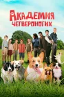  Академия четвероногих смотреть онлайн (2024) 