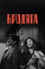  Бродяга смотреть онлайн (1951) 